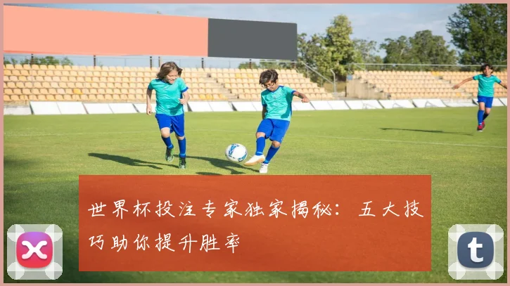 世界杯投注专家独家揭秘：五大技巧助你提升胜率