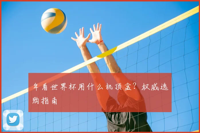 年看世界杯用什么机顶盒？权威选购指南