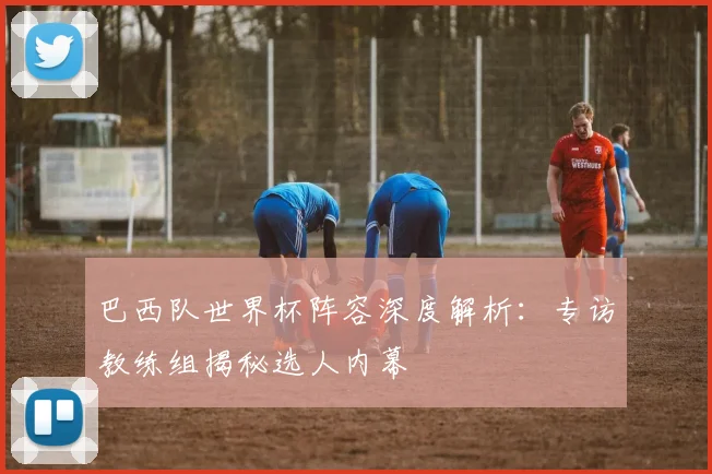 巴西队世界杯阵容深度解析：专访教练组揭秘选人内幕